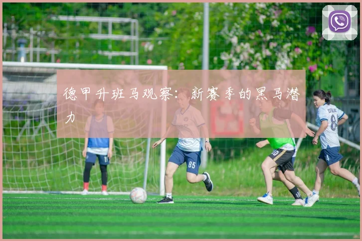 德甲升班马观察：新赛季的黑马潜力