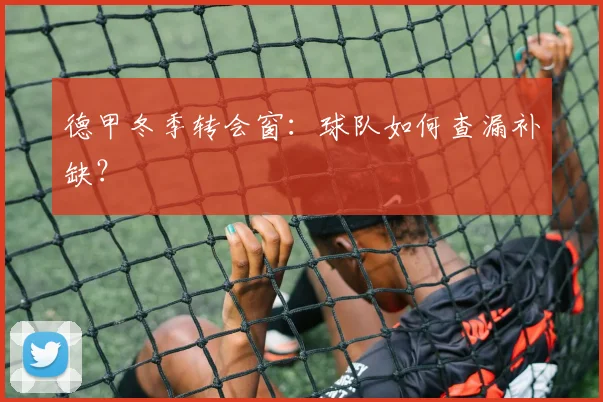 德甲冬季转会窗:球队如何查漏补缺?